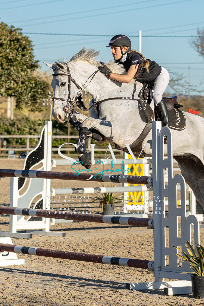 IMG_2378 | s-jay-photography - Realisiert mit Pictrs.com