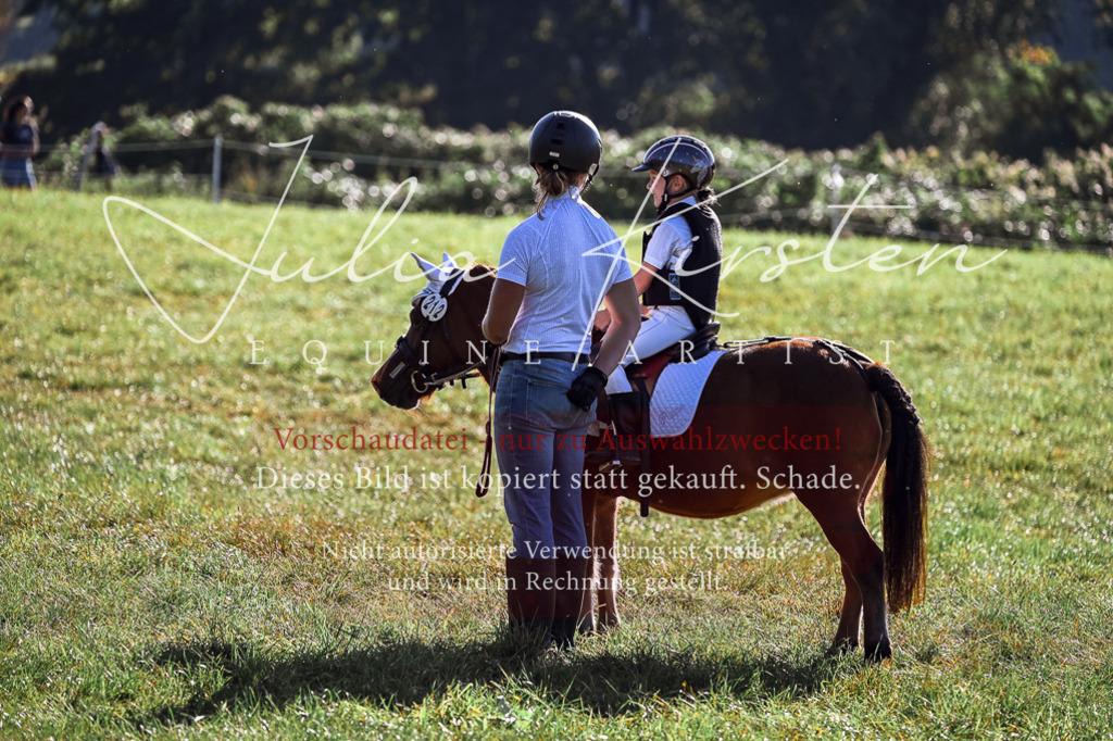 DSC_0451 | Pferde- und Turnierfotografie in Westsachsen. Pferdeportraits, Auftragszeichnungen und intuitive Kunst.