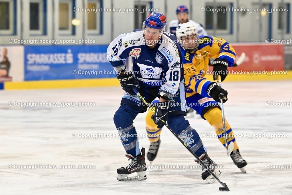 ESC Steindorf vs. EHC Althofen 13.1.2024 | #18 Pewal Martin