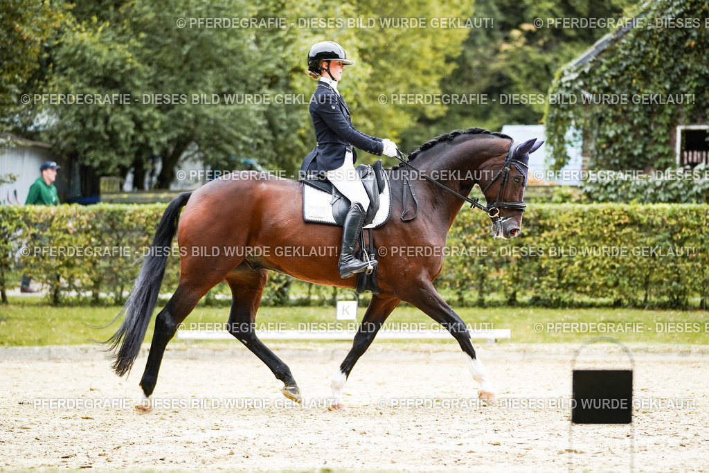 DSC01770 | Pferdegrafie