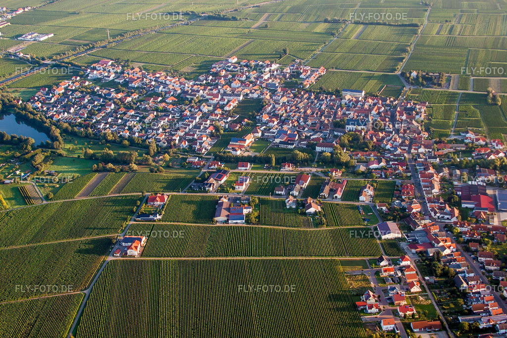 Dorf - Ansicht am Rande von landwirtschaftlichen Feldern und Nutzflächen (Pfalz) | Luftbild: Dorf - Ansicht am Rande von landwirtschaftlichen Feldern und Nutzflächen (Pfalz) in Kirrweiler im Bundesland Rheinland-Pfalz in Deutschland. Foto: IMG_44342.jpg vom 20.08.2011 durch Werner Riehm/FLY-FOTO.de - Realisiert mit Pictrs.com