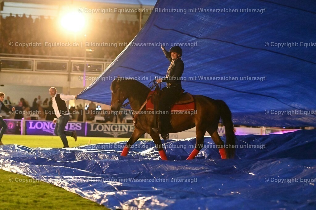 20230526_Pferdenacht_1063 | equistock