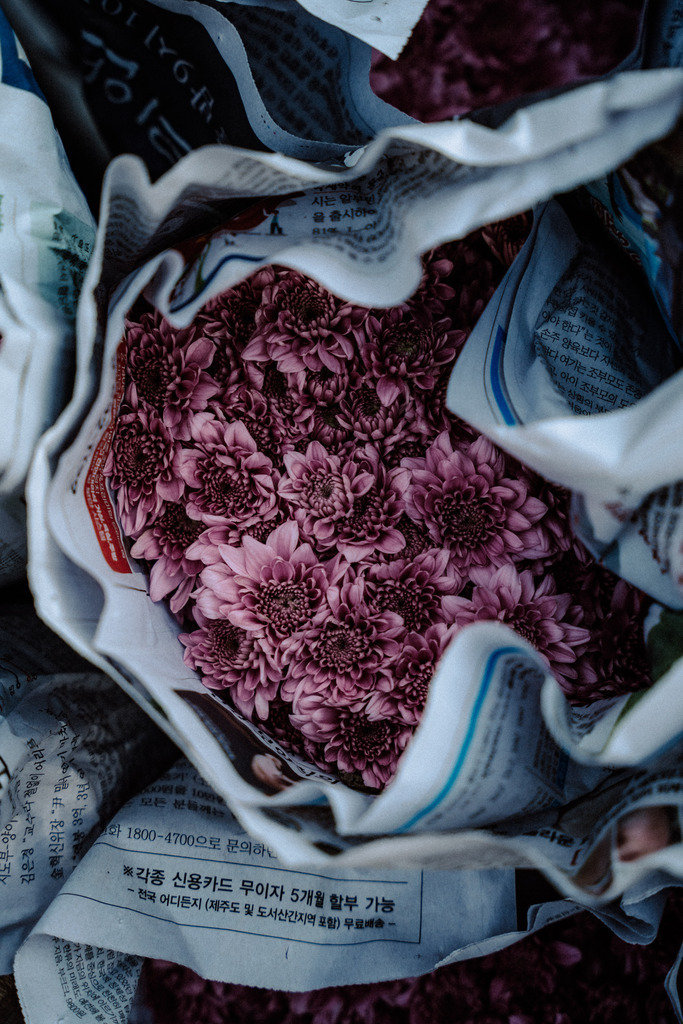 Chiang Rai | Print Shop 
Fotografie
Posterdruck
Landschaftsfotografie
Reisefotografie
Naturfotografie
Anja Brandes Poster 
Anja Brandes Photography 
Prints for Walls 
Printable 
Posterdrucke
Poster aesthetic 
Poster Wall 
Poster Prints 
Poster schwarz weiß - Realisiert mit Pictrs.com