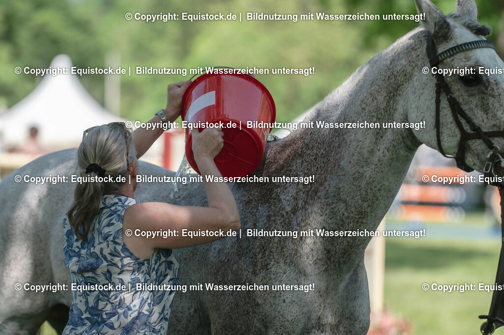 20230527_27_CCI4_Gelände_0071 | equistock