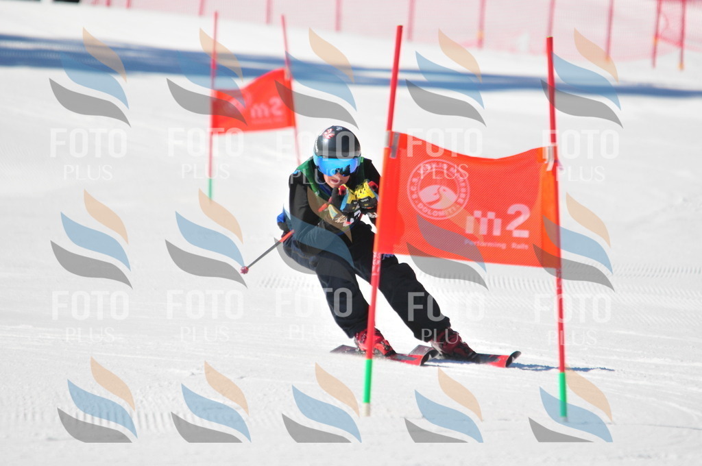 C3879 | holidayphoto