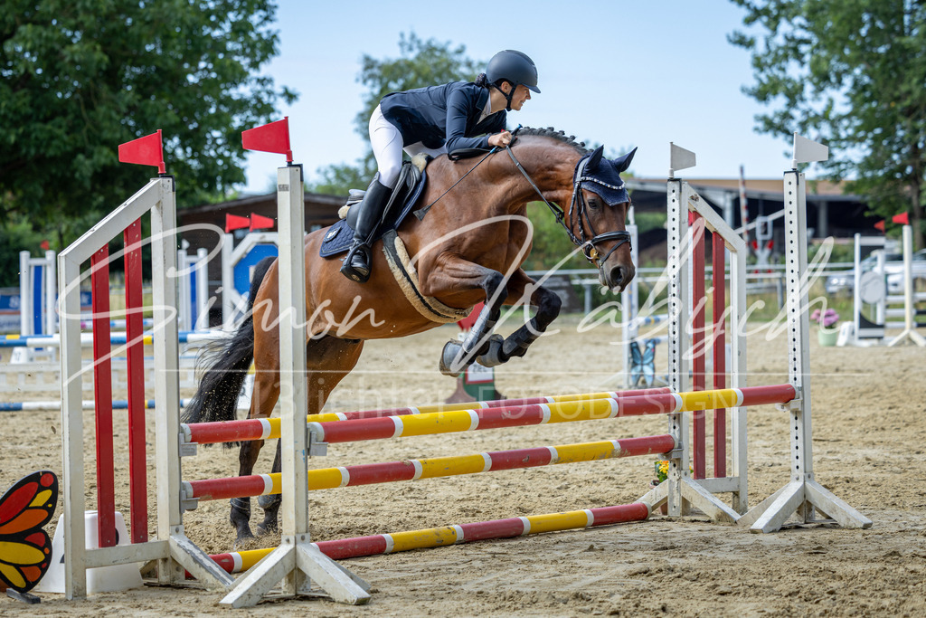 20260704-_3LI6813 | Tierfotografie Pferde, Hunde, Katzen, Haustiere.
Turnierfotografie Reitturniere, Reiten, Springreiten, Dressur in Hanau, dem Main-Kinzig-Kreis und dem Rhein-Main- Gebiet um Frankfurt