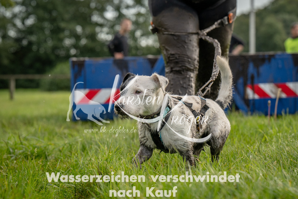 1006_ZZ90595 | kk-dogfotos