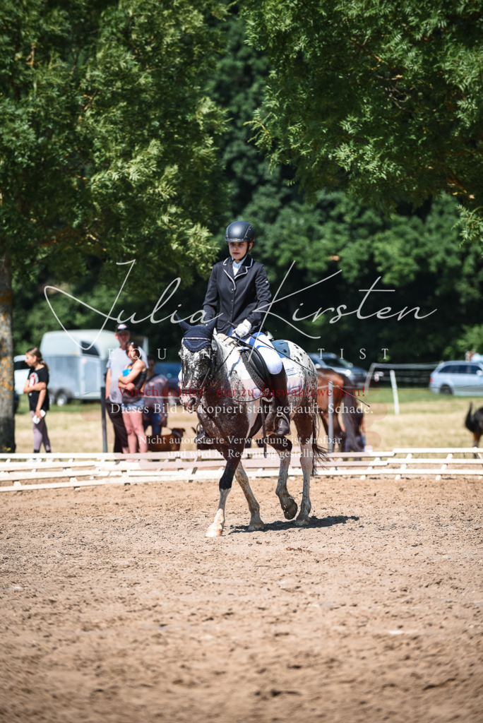 DSC_3231 | Pferde- und Turnierfotografie in Westsachsen. Pferdeportraits, Auftragszeichnungen und intuitive Kunst.