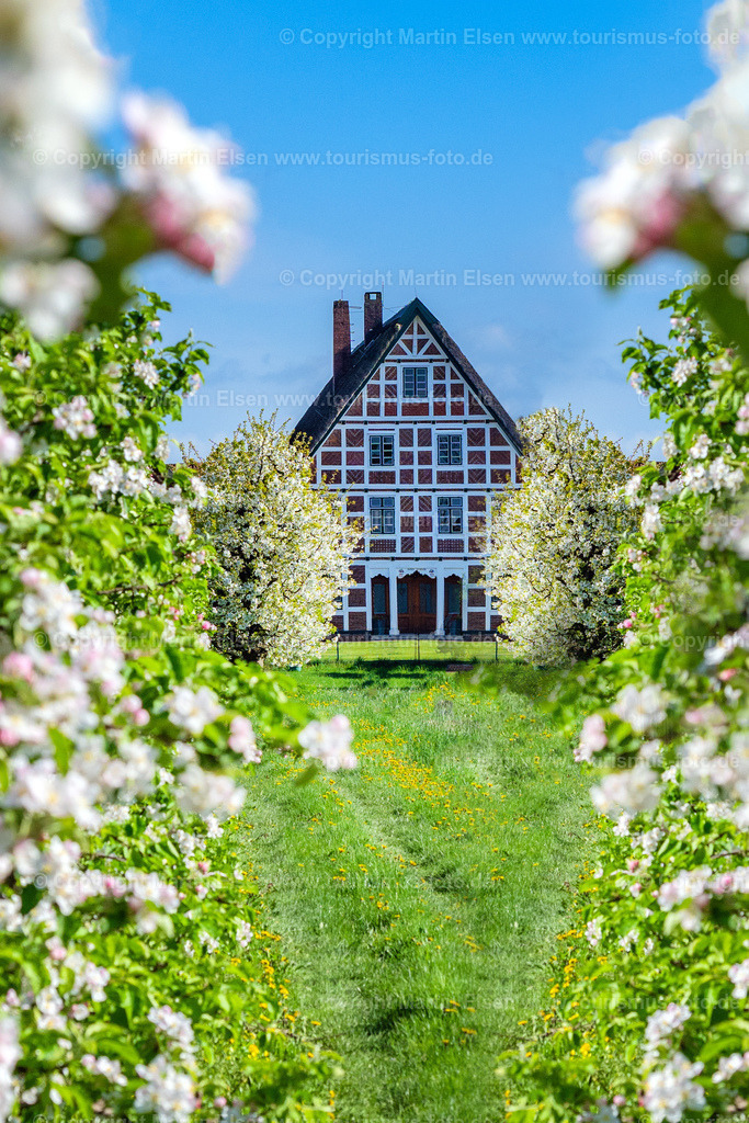 Altes Land Blüte Fachwerk_ELS_2079150424 | Fotos aus den Touristenorten aus Norddeutschland. - Realisiert mit Pictrs.com