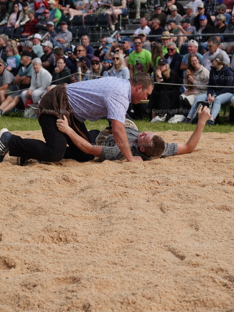 DSC06711 | Schwingen - Realisiert mit Pictrs.com