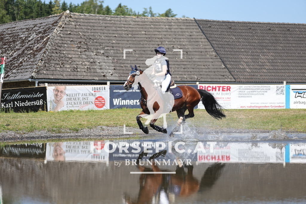 0P6A3489 | Willkommen bei Brunnmayr - Design & Fotografie – Ihrem Spezialisten für Reitturniere und Pferdeveranstaltungen in Oberösterreich, Salzburg und Bayern! Seit über 17 Jahren sind wir leidenschaftlich dabei.