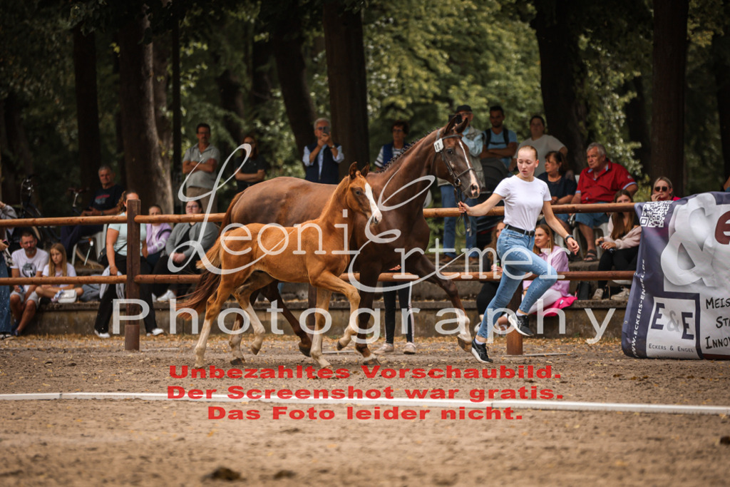 SaFohlen00112 | Leoni Ertmer Photography - Realisiert mit Pictrs.com