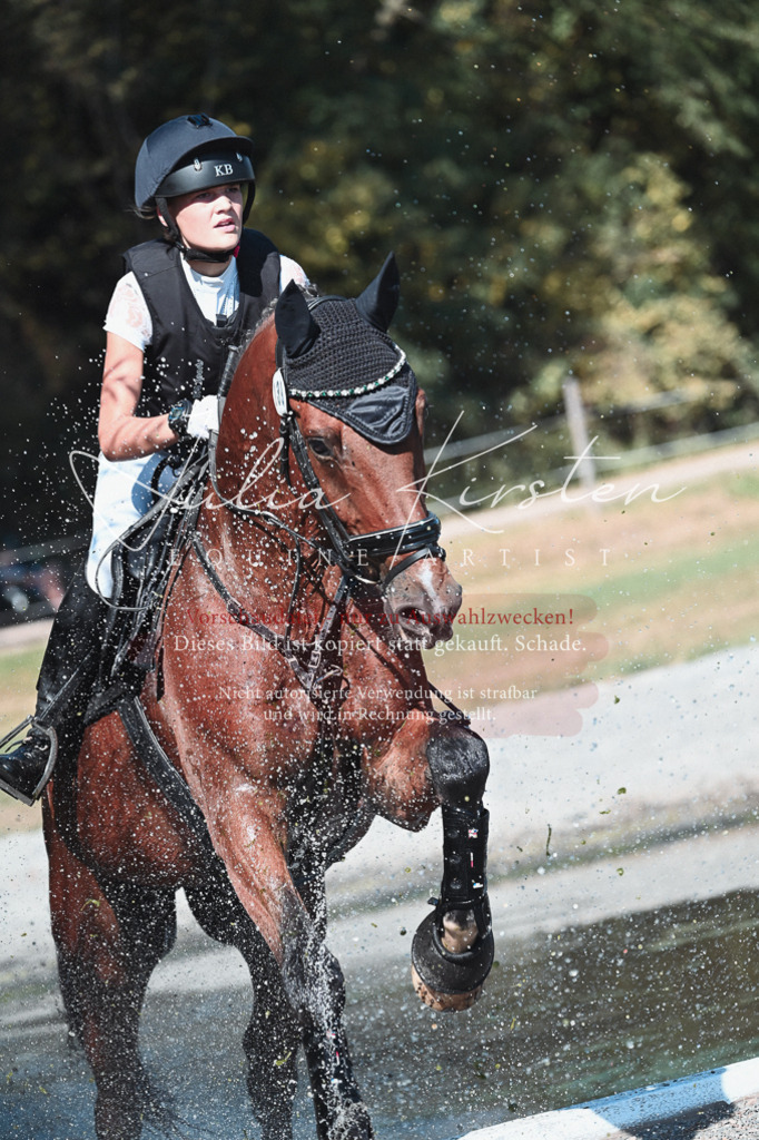 DSC_8599 | Pferde- und Turnierfotografie in Westsachsen. Pferdeportraits, Auftragszeichnungen und intuitive Kunst.