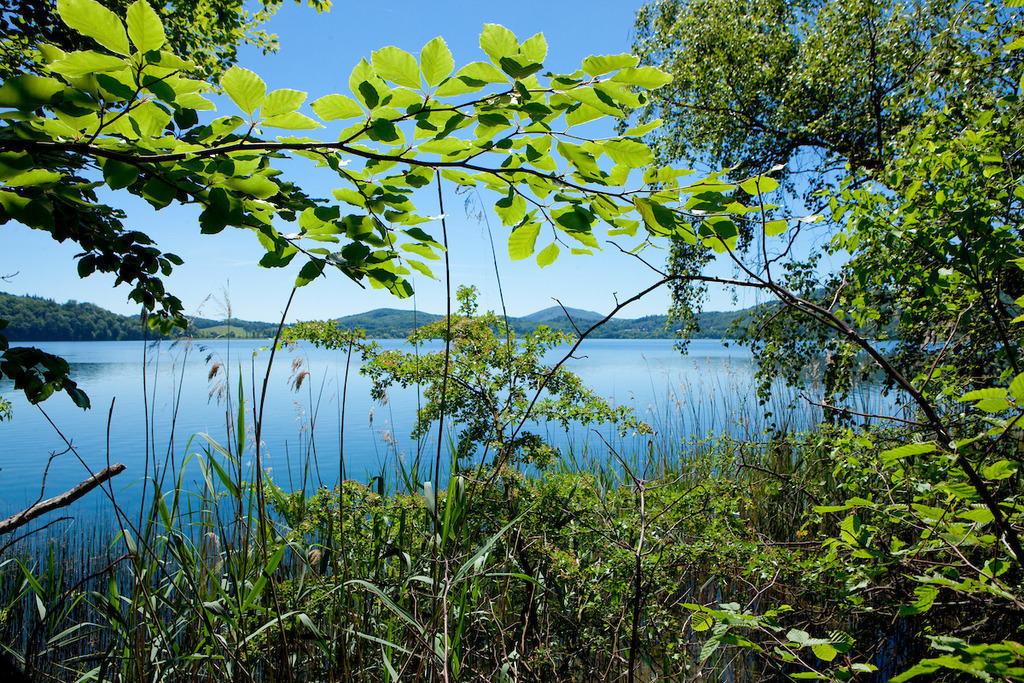 210614-076 | Europa, DEU, Deutschland, Rheinland-Pfalz, Eifel, Glees, Vulkaneifel, Laacher See, Vordereifel (Osteifelvulkangebiet), Natur, Umwelt, Landschaft, Jahreszeiten, Stimmungen, Landschaftsfotografie, Landschaften, Landschaftsphoto, Landschaftsphotographie, Wetter, Wetterelemente, Wetterlage, Wetterkunde, Witterung, Witterungsbedingungen, Wettererscheinungen, Meteorologie, Wettervorhersage, 

[Fuer die Nutzung gelten die jeweils gueltigen Allgemeinen Liefer-und Geschaeftsbedingungen. Nutzung nur gegen Verwendungsmeldung und Nachweis. Download der AGB unter http://www.image-box.com oder werden auf Anfrage zugesendet. Freigabe ist vorher erforderlich. Jede Nutzung des Fotos ist honorarpflichtig gemaess derzeit gueltiger MFM Liste - Kontakt, Uwe Schmid-Fotografie, Duisburg, Tel. (+49).2065.677997, ..archiv@image-box.com, www.image-box.com] - Realisiert mit Pictrs.com