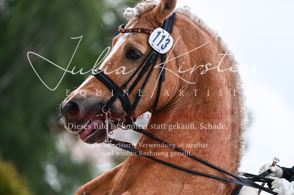20230514_JK-Röhrsdorf-21-390 | Pferde- und Turnierfotografie in Westsachsen. Pferdeportraits, Auftragszeichnungen und intuitive Kunst.