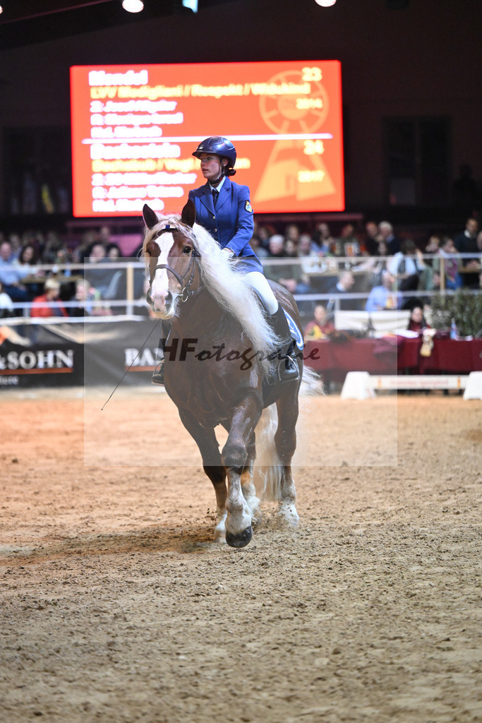 Kaltblutquadrille_1234557 | hf-fotografie - Realisiert mit Pictrs.com