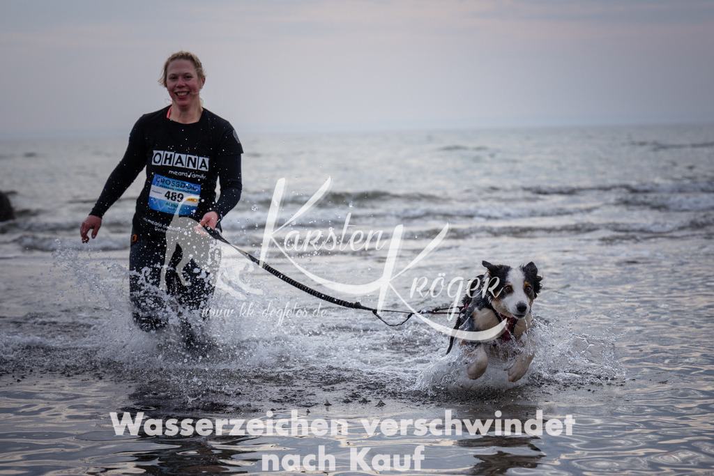 1139_ZZ99915 | kk-dogfotos
