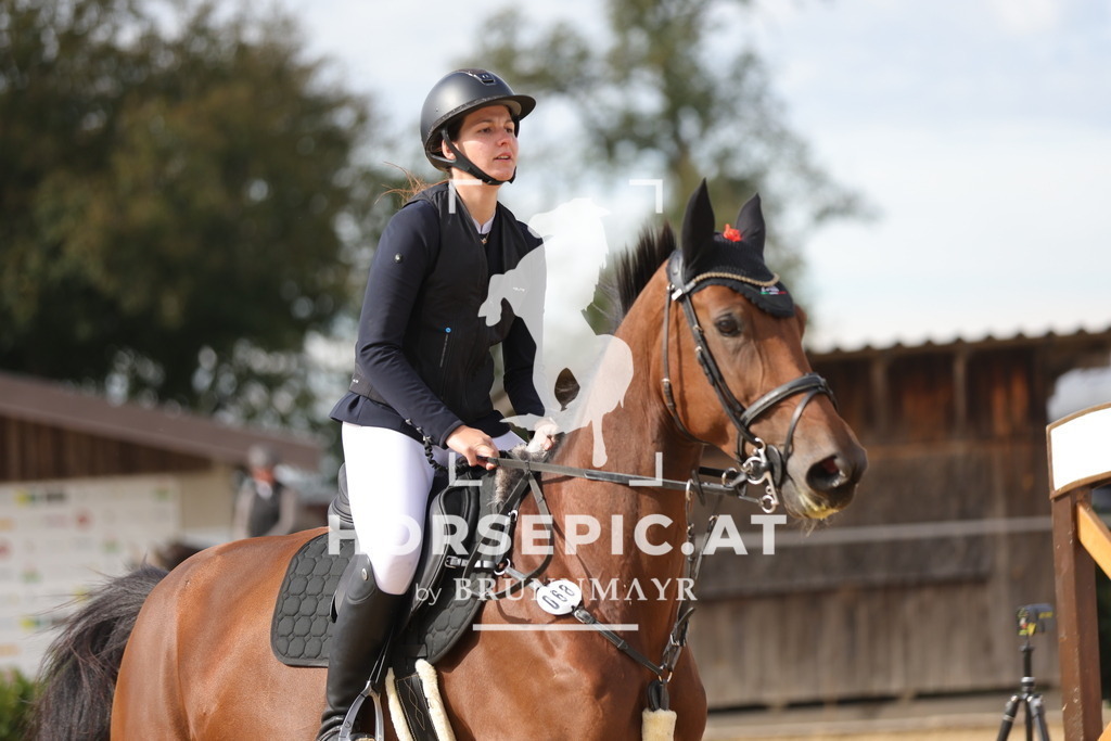 0P6A4234 | Willkommen bei Brunnmayr - Design & Fotografie – Ihrem Spezialisten für Reitturniere und Pferdeveranstaltungen in Oberösterreich, Salzburg und Bayern! Seit über 17 Jahren sind wir leidenschaftlich dabei.