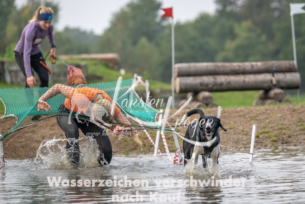 0910_ZZ94076 | kk-dogfotos