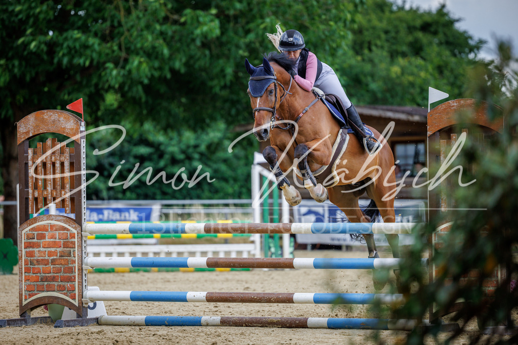 20260705-_3LI5364 | Tierfotografie Pferde, Hunde, Katzen, Haustiere.
Turnierfotografie Reitturniere, Reiten, Springreiten, Dressur in Hanau, dem Main-Kinzig-Kreis und dem Rhein-Main- Gebiet um Frankfurt