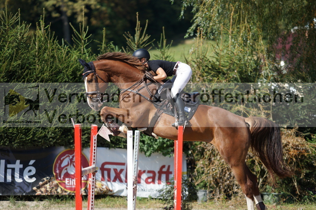 DSC01686 | equestrian-live-com