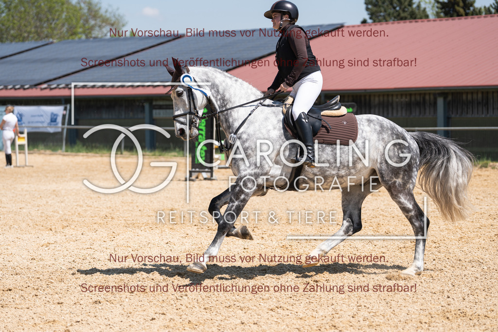 DSC04602 | Springturnier_Ehingen_Mai_2026, Emma_Kunz, Hicksteads_Catchy