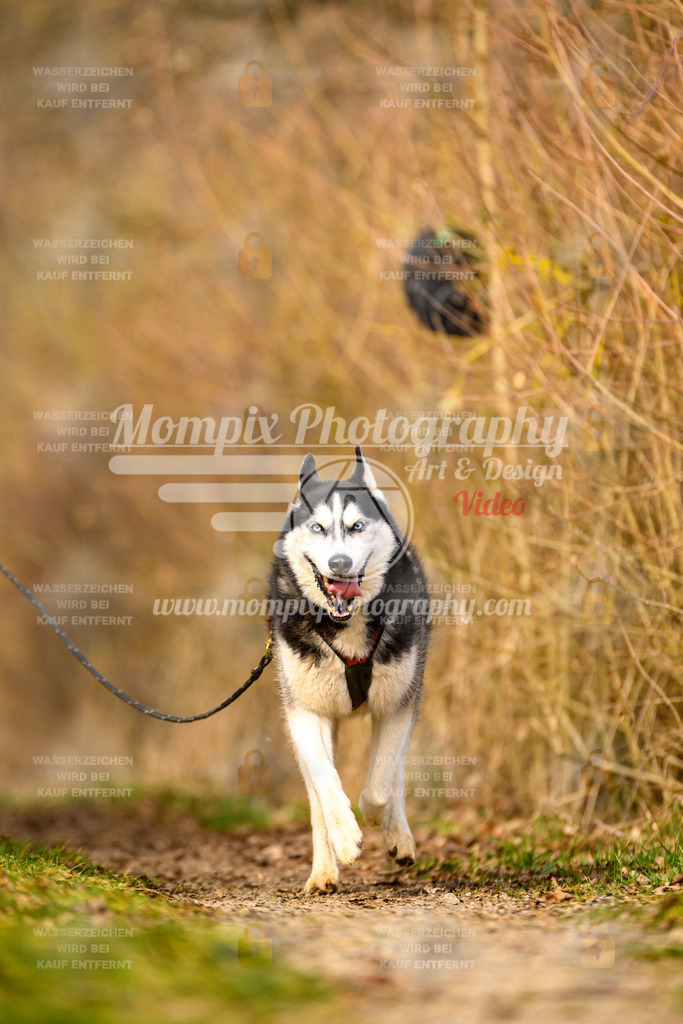 MompixPhotography_Schwabentrail2024_DS1-95 | PayLife