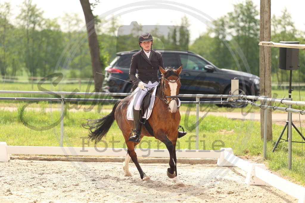 994A6881 | sabrinanicolaifotografie - Realisiert mit Pictrs.com