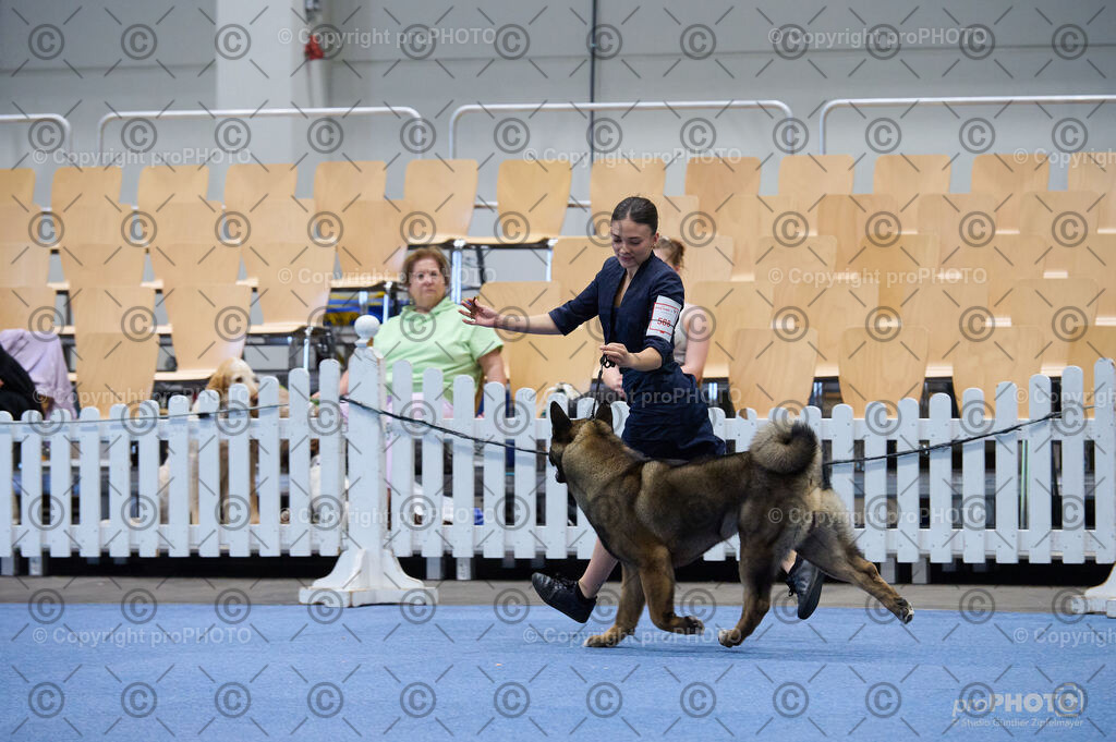 202406_ÖKV-IHA-Tulln24_DSC_5311 | proPHOTO - Realisiert mit Pictrs.com