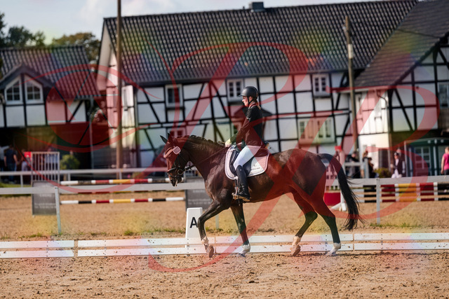 2026_10_03_Siefer-Hof_132125_Z63_82700526 | Professionelle Reitsport-, Turnier- und Eventfotografie von Robert Broda. Galerien mit ausgewählten und bearbeiteten Bildern direkt online ansehen und bestellen.