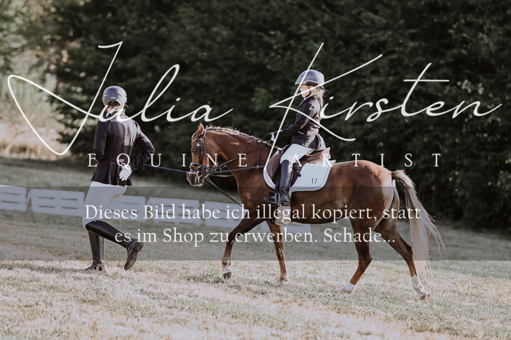 DSC_0108 | Pferde- und Turnierfotografie in Westsachsen. Pferdeportraits, Auftragszeichnungen und intuitive Kunst.