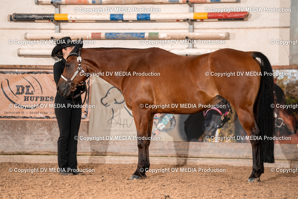 LM Heiligenwald Tag 1-03 | dv-media-shop - Realisiert mit Pictrs.com