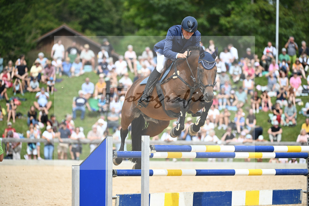 Hengste im Sport_36240189 | hf-fotografie - Realisiert mit Pictrs.com