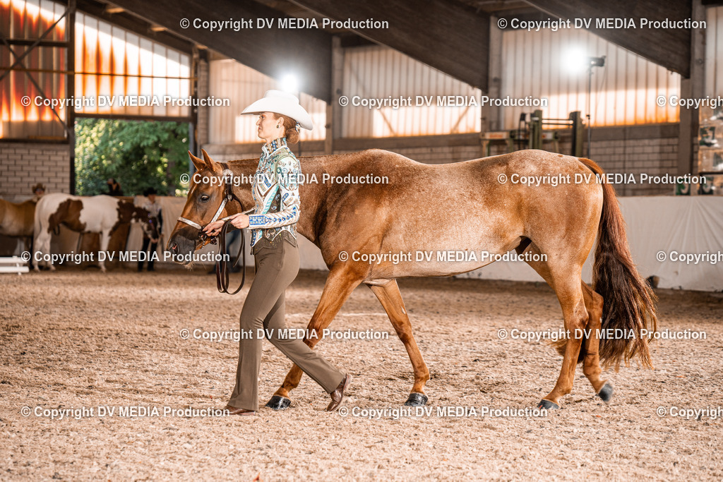 ZH100198 | dv-media-shop - Realisiert mit Pictrs.com