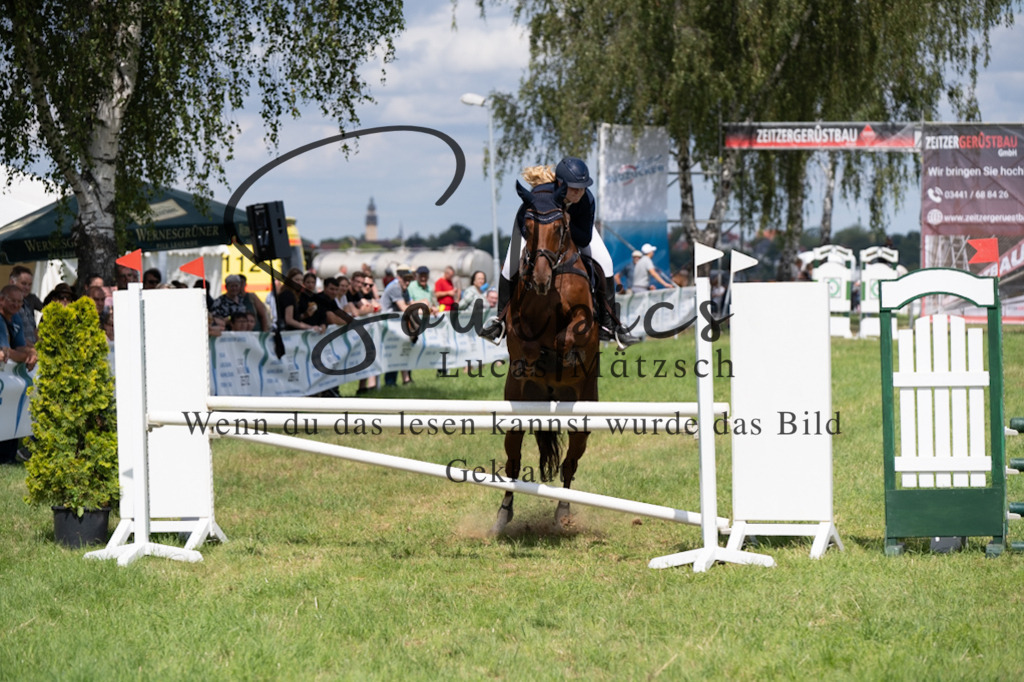 A7V04431 | Pferdefotograf