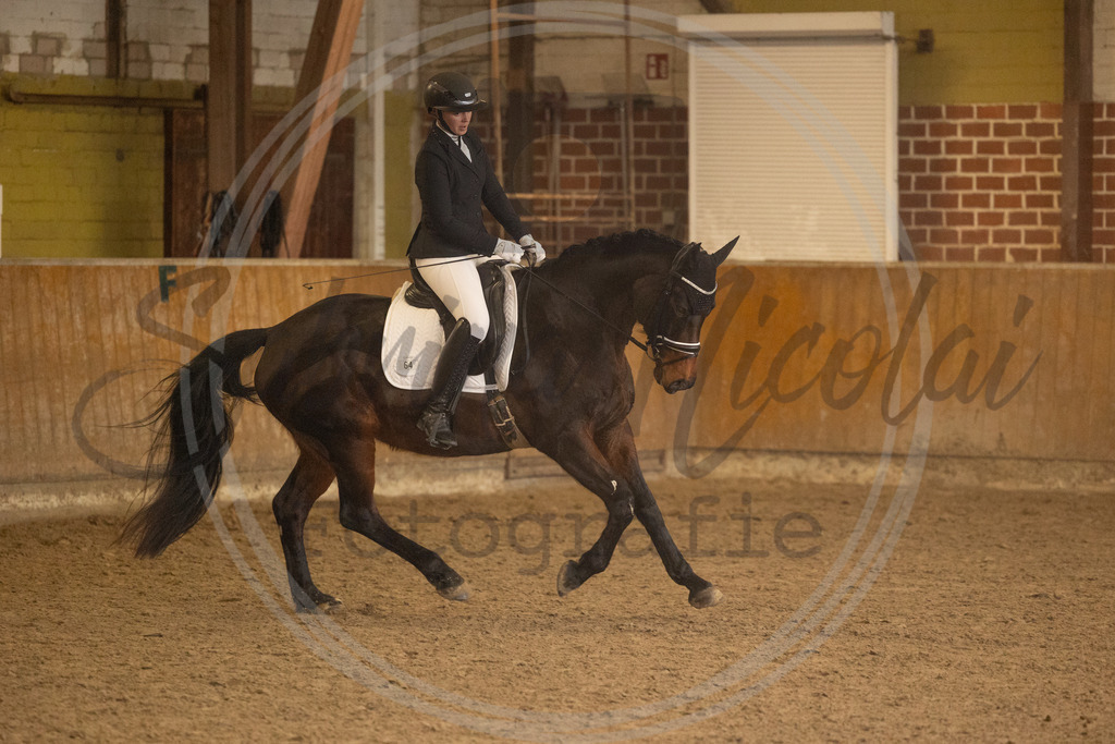 994A9235 | sabrinanicolaifotografie - Realisiert mit Pictrs.com