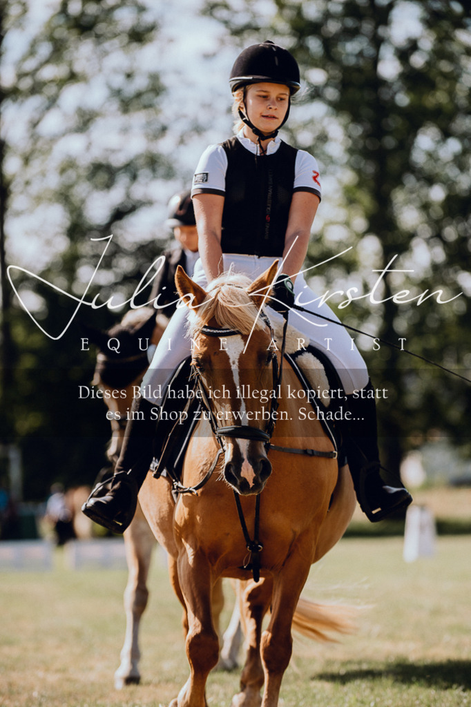 DSC_7056 | Pferde- und Turnierfotografie in Westsachsen. Pferdeportraits, Auftragszeichnungen und intuitive Kunst.