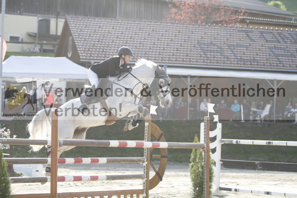 _MG_1439 | equestrian-live-com