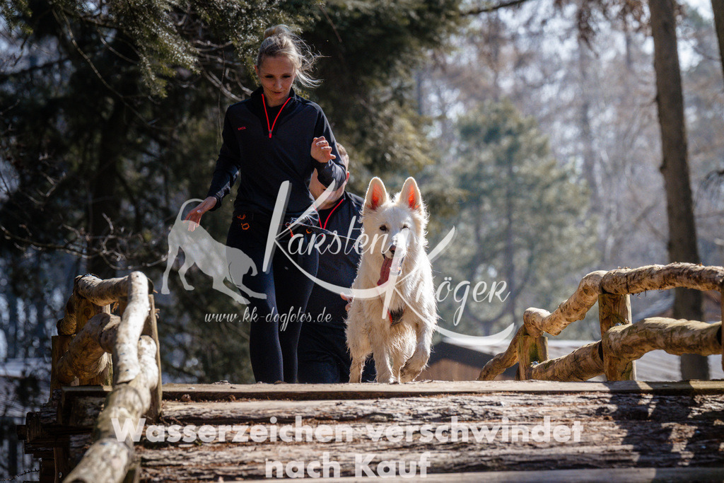 1335_ZZ95716 | kk-dogfotos