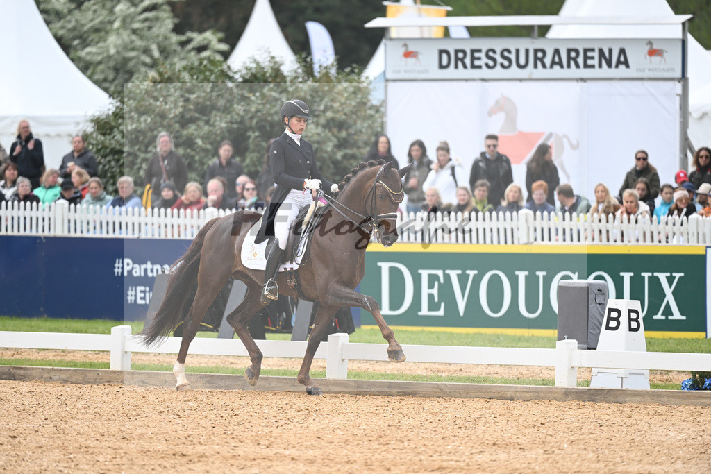 Strobel_Valparaiso_11232474 | hf-fotografie - Realisiert mit Pictrs.com