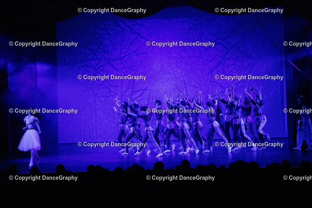 GPHY1710 | DanceGraphy - Realisiert mit Pictrs.com