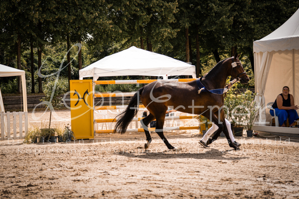 1.Fr00206 | Leoni Ertmer Photography - Realisiert mit Pictrs.com