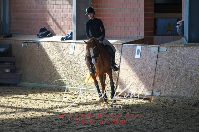 DKP42173 | Turniersportfotografie; Pferdefotografie; Dressurfotografie