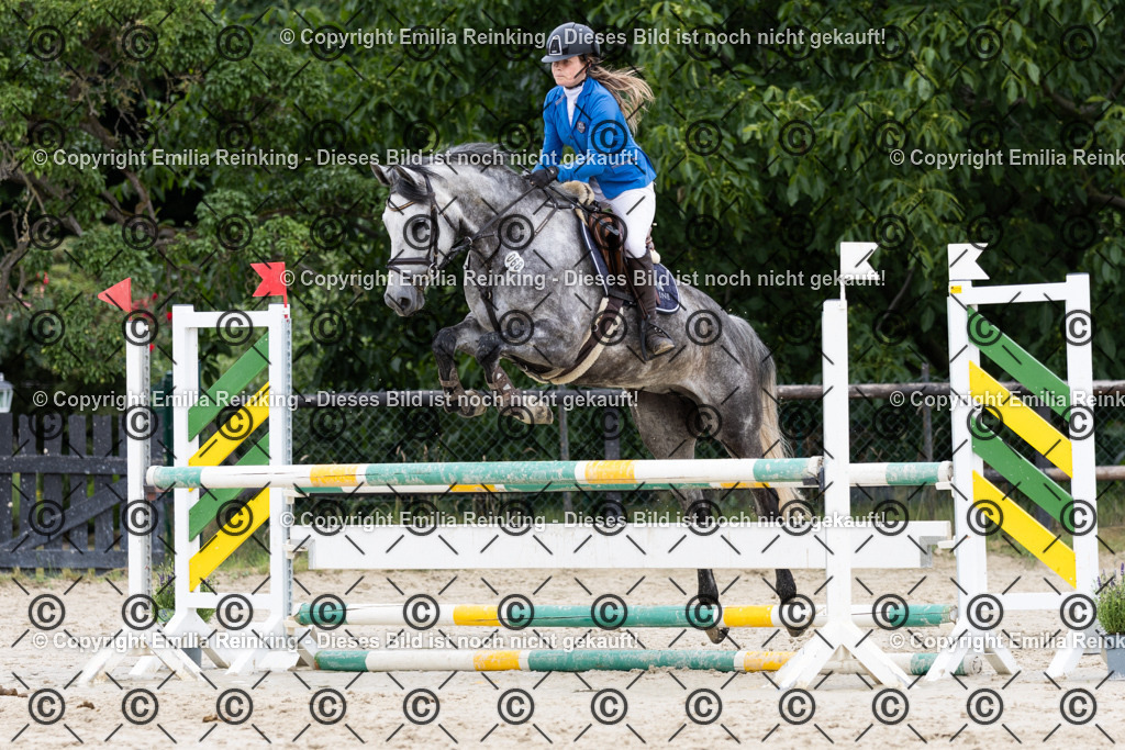 CL5A5125 | Emilia Reinking Fotografie - Realisiert mit Pictrs.com