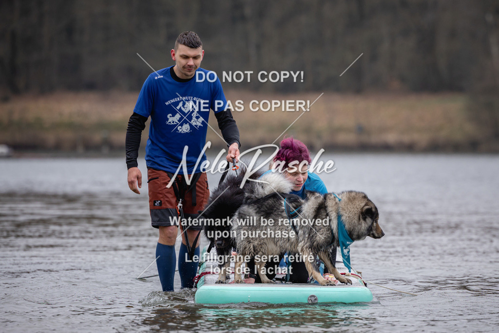 nelerasche_Hulsbeek_Sa1515-1600_196 | nelerasche