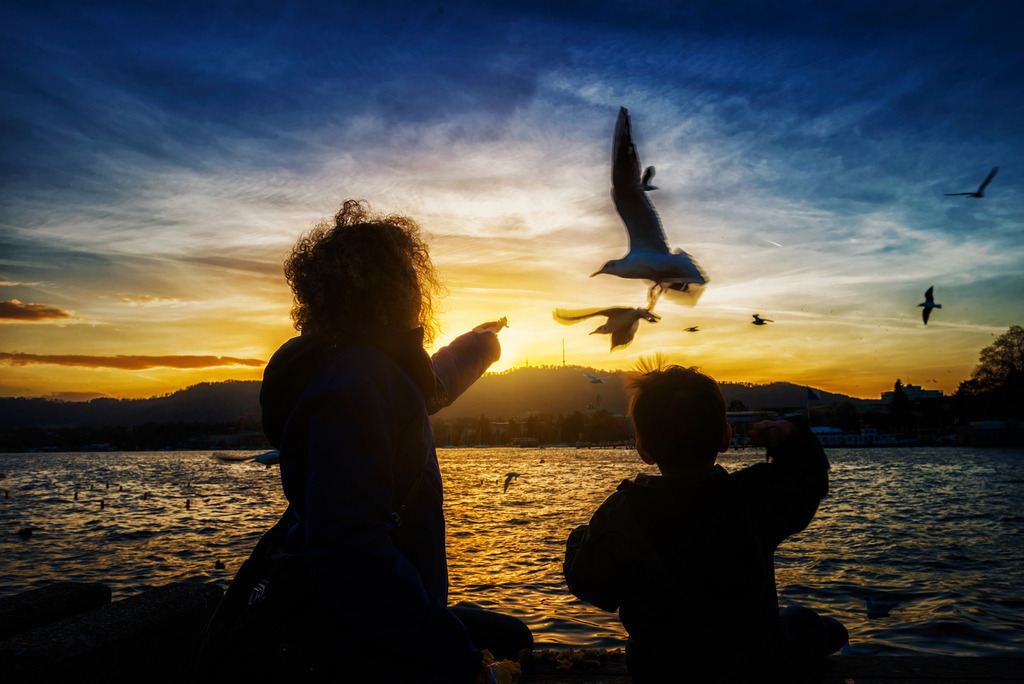 _DSC3585 | photoluigi