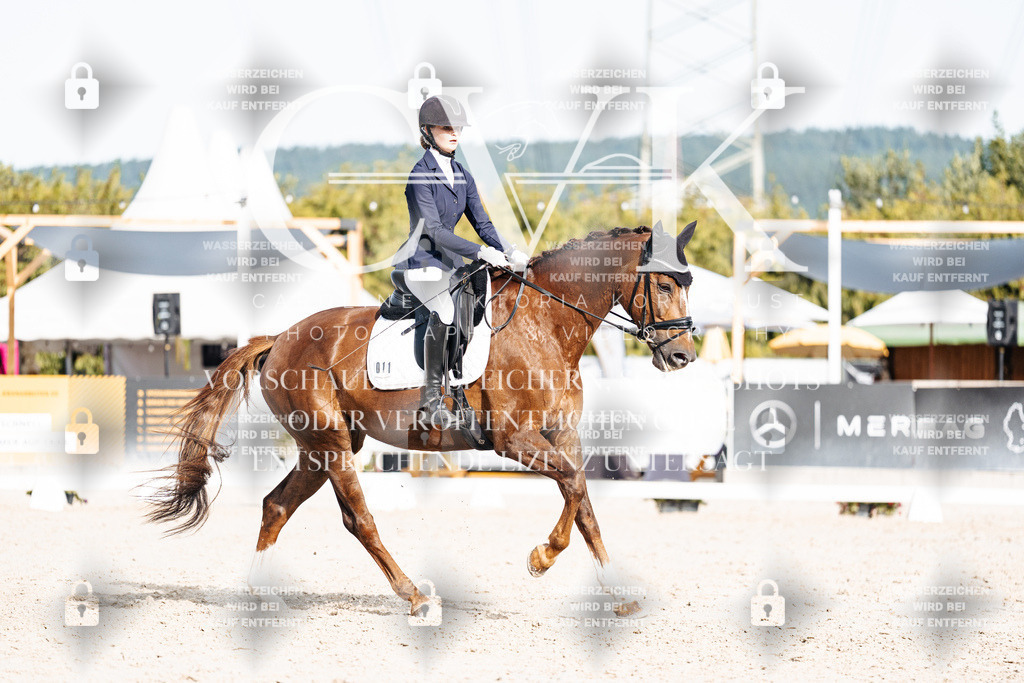 CK905161 | Turnierfotografie Pferdefotografie Trier Rheinland-Pfalz Pferdesport Reitsport Tierfotografie Sportfotografie Pferdevideo Pferdevideografie Equestrianvideography equestrianphotography  - Realisiert mit Pictrs.com