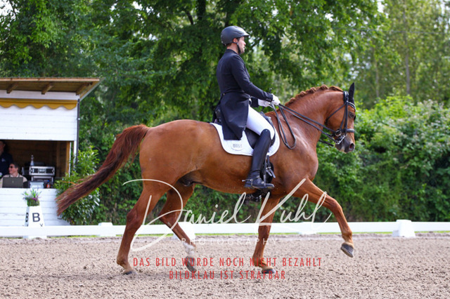 DKP41280 | Deine Turnierfotos vom Reitturnier online kaufen: Dressur, Springen & Siegerehrung. Professionelle Pferdefotografie aus dem Rheinland – als Download & Print.Alternative: Turnierfotograf für den Pferdesport: Finde deine Fotos von Dressur- und Springturnier