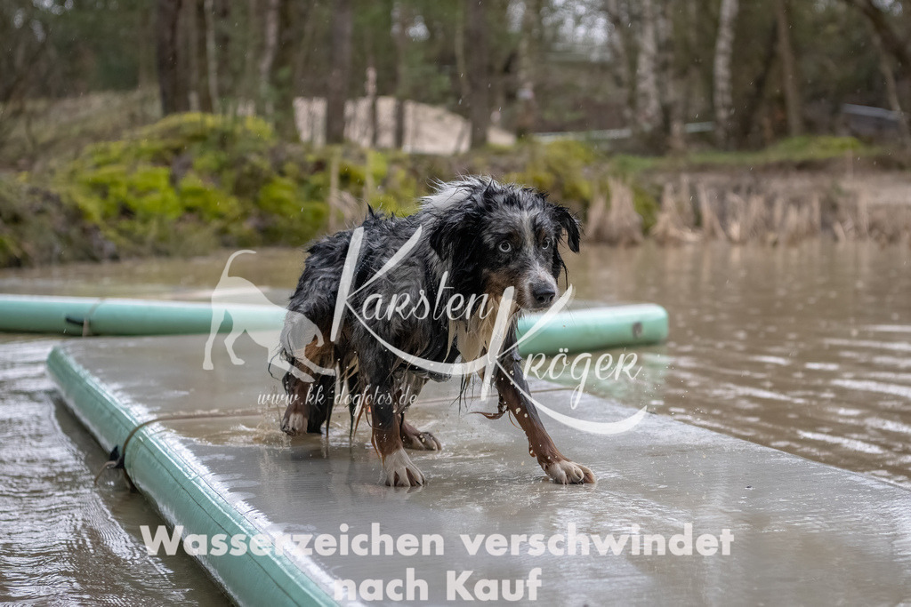 0922_ZZ90722-Bearbeitet | kk-dogfotos