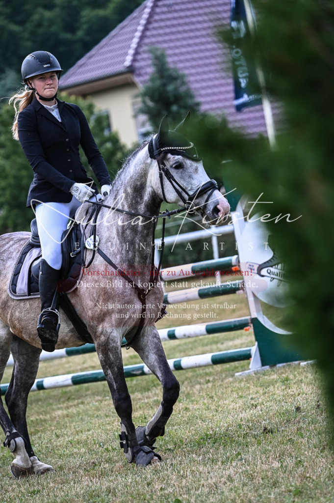 DSC_8357 | Pferde- und Turnierfotografie in Westsachsen. Pferdeportraits, Auftragszeichnungen und intuitive Kunst.